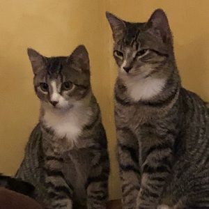 Meet your Posher, Robert